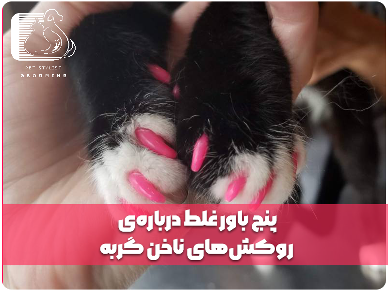 پنج باور غلط درباره‌ی روکش‌های ناخن گربه